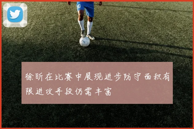 徐昕在比赛中展现进步防守面积有限进攻手段仍需丰富